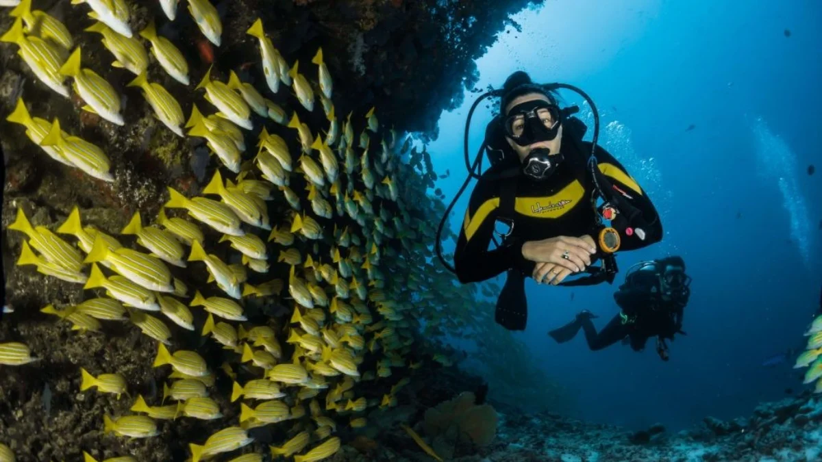 Scuba diver exploring a rocky seabed off the Moroccan coast