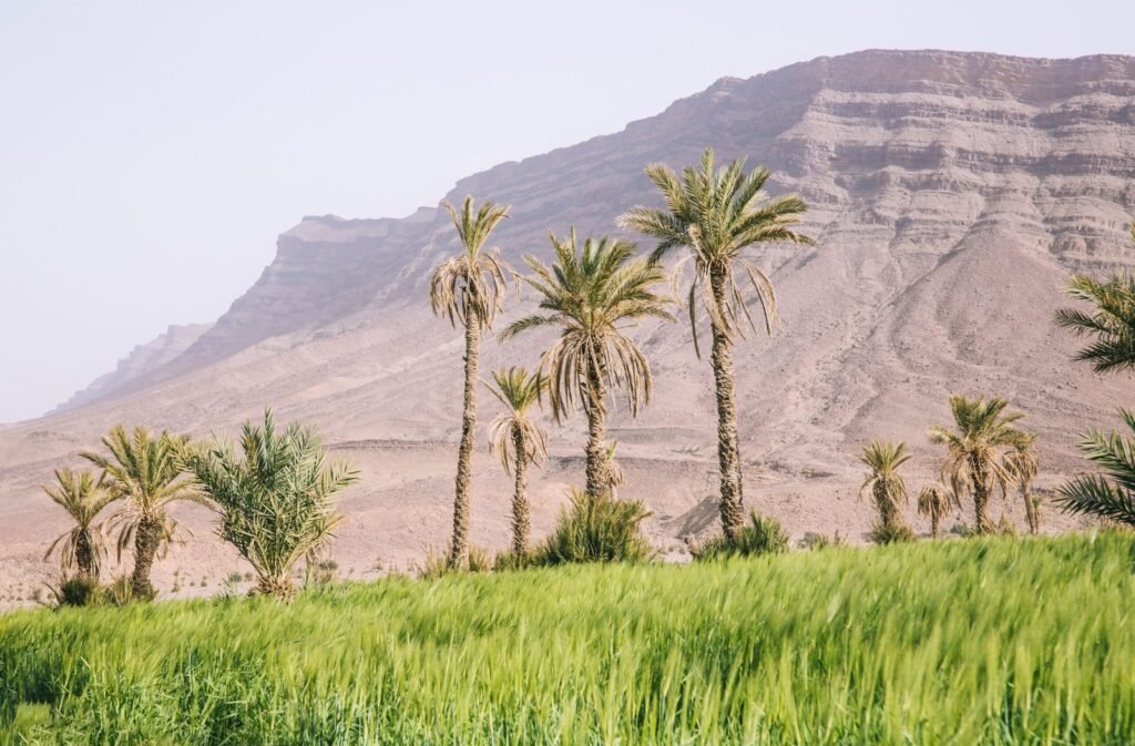 When is the best time to visit Morocco-tours in all morocco