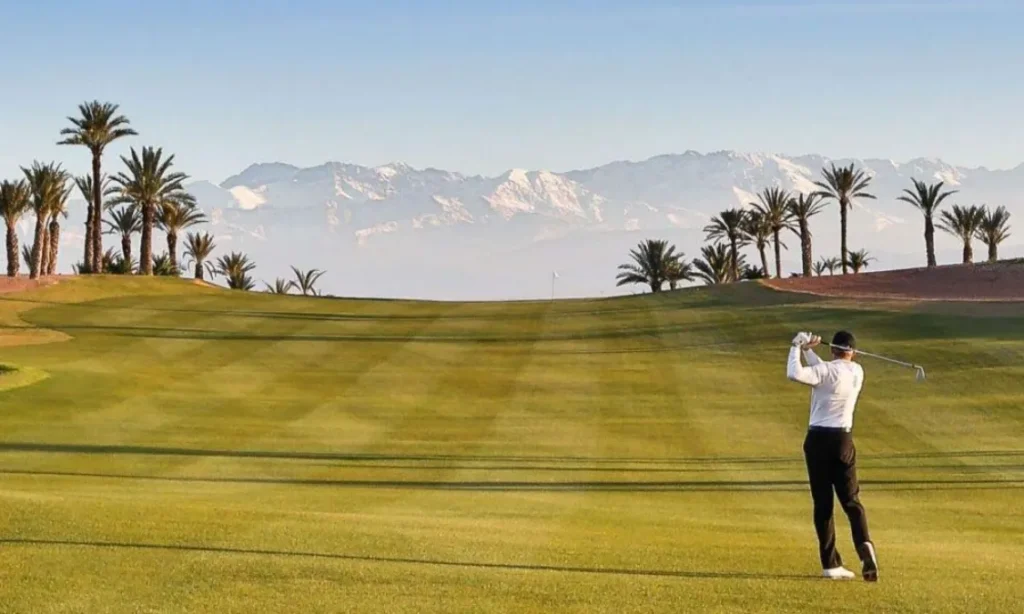 Green golf course lined with palm trees in Morocco