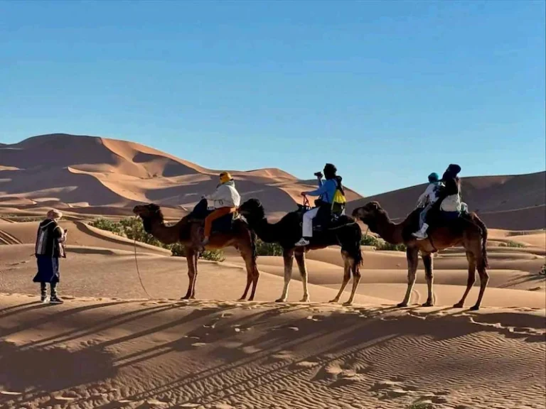 8 Days From Fes To Marrakech - Morocco Smile Trip