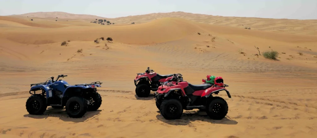 Desert Quads Experience