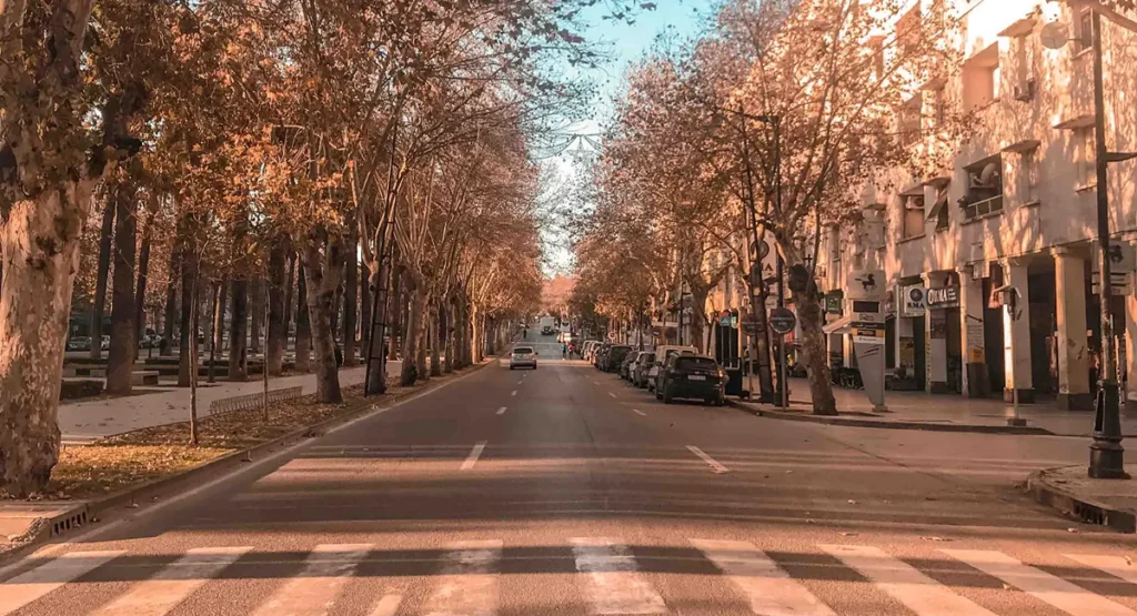 Ifran - the little switzerland - Morocco Smile Trip