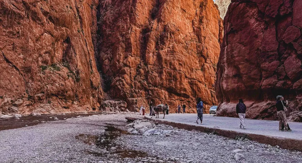 Todra Gorges - Tinghir - Morocco Smile Trip